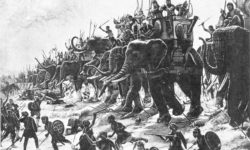 Военные слоны