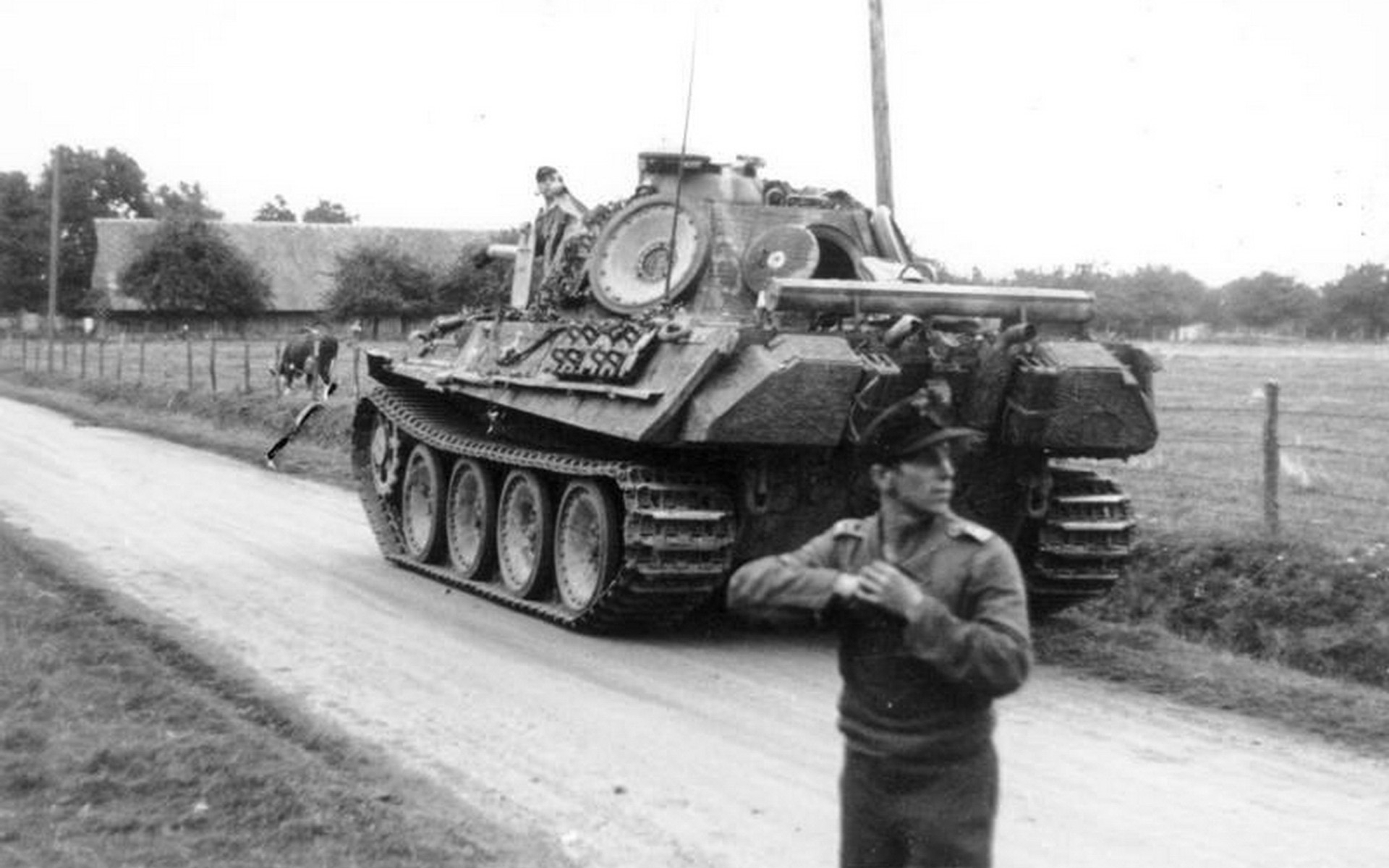 Deutscher Panzer V Panther - Militär Wissen