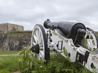 Geschütze / Artillerie