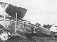 Halberstadt CL.IV