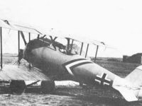 Pfalz D.VIII