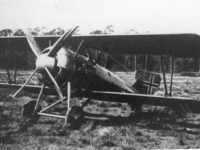 Siemens-Schuckert D.III